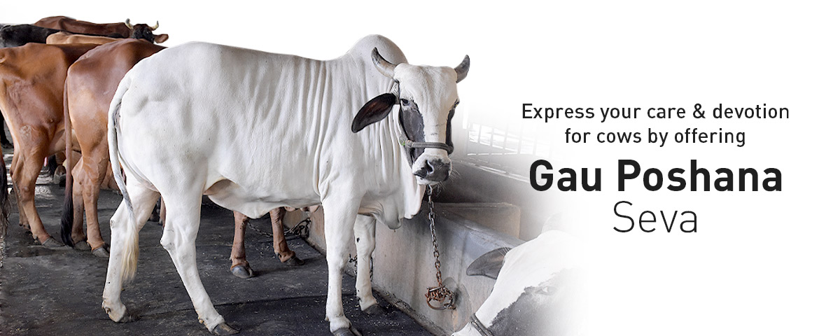 Gau Seva